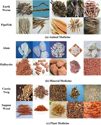 Figure 2. Examples of CHM with different natural attributes. (a) Animal medicine, (b) Mineral medicine and (c) Botanical medicine.