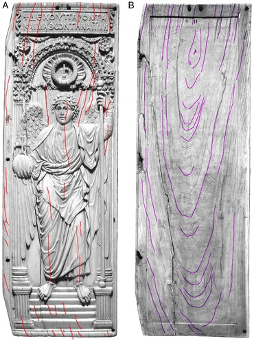 Figure 2. Line traces of the ivory laminae: (A) at the front and (B) at the back.