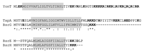 Figure 2. Alignment of type I toxins using ClustalW. Conserved amino acids are marked with an asterisk (*), strongly similar amino acids with a colon (:), and weakly similar amino acids with a full stop (.). The transmembrane domain predicted with TMpred (http://www.ch.embnet.org/software/TMPRED_form.html) is shaded; charged amino acids are in red.