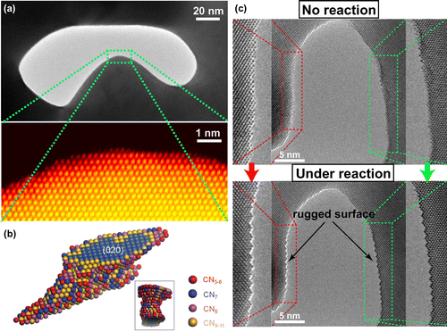 Figure 4. (a) TEM (upper panel) and STEM (lower panel) images of NPG obtained at low and high magnifications, respectively. (b) Reconstructed 3D atomic configuration of the NPG ligament. Different colors denote the surface atoms with different coordination numbers. (c) An environmental TEM image of the rugged surface obtained during CO oxidation and in the absence of any reactions. Panels (a) and (c) are adapted from Ref. [Citation72]. © Macmillan Publishers Limited, Springer Nature. Panel (b) is adapted from Ref. [Citation73]. © WILEY-VCH Verlag GmbH & Co. KGaA, Weinheim.