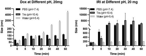 Figure 4. Effect of pH on the particle size of the DOX-lipiodol and IRI-lipiodol emulsions at different pH conditions (20 mg drug:2 mL lipiodol).