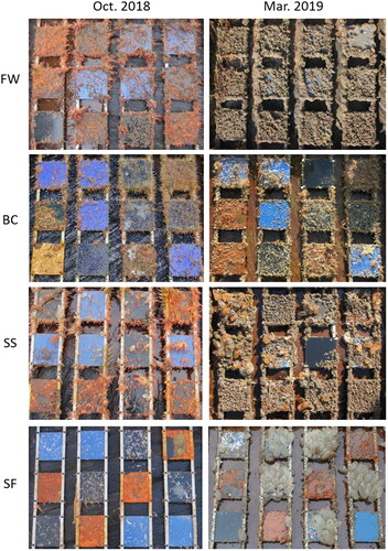 Figure 5. Synoptic images of BioFREE settlement panels deployed at EMEC test sites between July 2018 and March 2019. Lefthand side: retrieval in October 2018; righthand side: retrieval in March 2019. From the top: Fall of Warness; Billia Croo; Shapinsay Sound; and Scapa Flow.