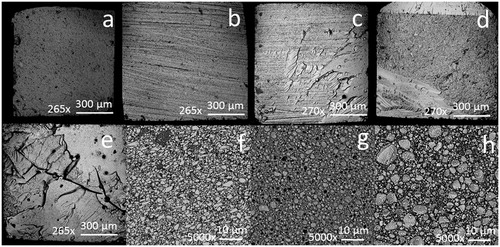 Figure 5. Representative SEM images from the fracture analysis of VP groups after µTBS testing; (a) cohesive failure in the fresh control group, (b) adhesive interface failure in the abrasive paper aged subgroup, (c) mixed failure in the SR + UA aged subgroup, (d) mixed failure in the SR + Silane + UA aged subgroup, (e) mixed failure in the SR + Sandblasting + Silane + UA aged subgroup. Resin matrix and filler distributions on the surface of (f) VP, (g) Z100, (h) FS specimens.