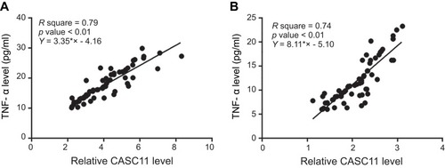 Figure 3 Plasma levels of CASC11 and TNF-α were positively correlated. Pearson’s correlation coefficient revealed a significant and positive correlation between CASC11 and TNF-α in both postmenopausal osteoporosis patients (A) and healthy controls (B).