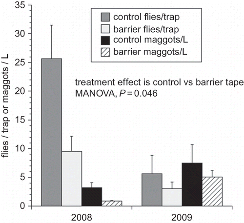 FIGURE 4 Measures of blueberry fly infestation (flies or maggot infested fruit) for non-protected versus barrier tape protected fields in 2008 and 2009.