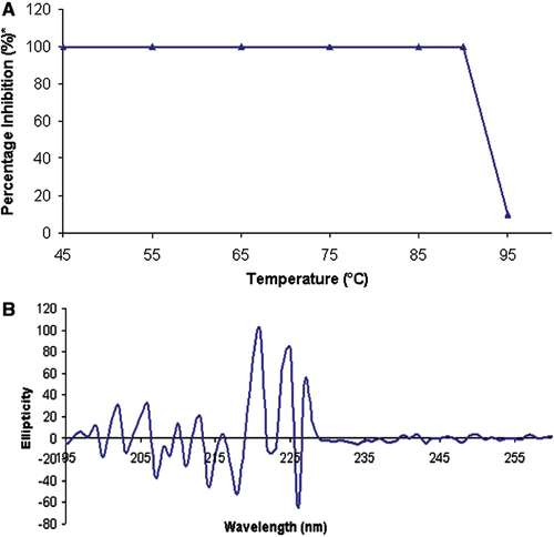 Figure 1.  Thermal stability expressed through the CD spectrum of rBm-33 heat treated to (95°C). Thermal stability of rBm-33 on pepsin inhibition activity.*The percentage activity was calculated assuming the maximum activity at 37°C is 100% (A). CD spectrum of heat treated (95°C) rBm-33 diluted with water at final concentration of 0.1 mg/ml at pH 6.9 (B).