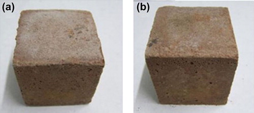 Figure 3. Visual appearances of concrete cube specimens prepared with hydraulic cement of Formulation 3 processed via ball milling (a), and high-speed grinding (b).