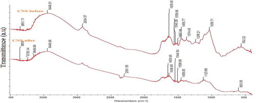 Figure 1. FTIR spectrum of CNS before adsorption and after adsorption