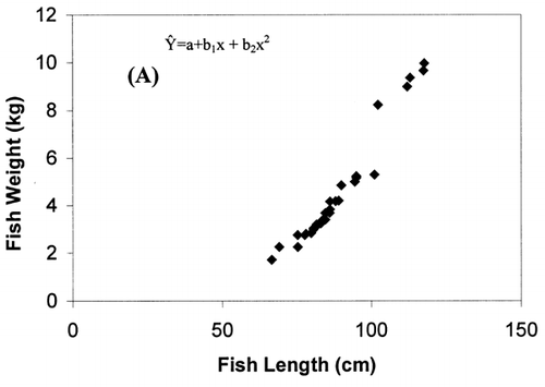 Figure 1. Second order regression of the weight of fish with length (A) and ω3 type FA vs. fish weight (B). (C) Second order regression of ω6 type FA vs. fish weight.