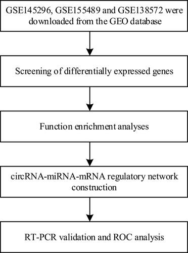 Figure 1 The workflow of the study.