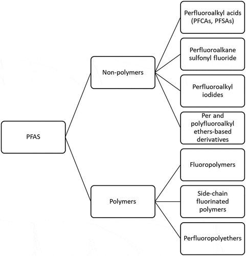 Figure 1. PFAS are present as non-polymers and polymers and involve many different chemical formulations