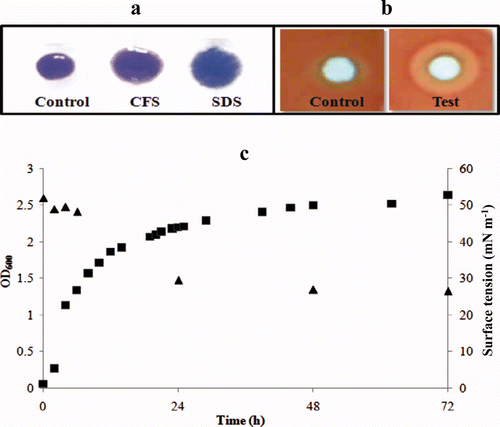 Figure 1. Biosurfactant activity of S. marcescens displayed by (a) drop collapse assay, (b) hemolysis on blood agar showing negative control and test results. (c) effect of growth on surface tension. Growth monitored as A600 nm (▪) and surface tension (▴).