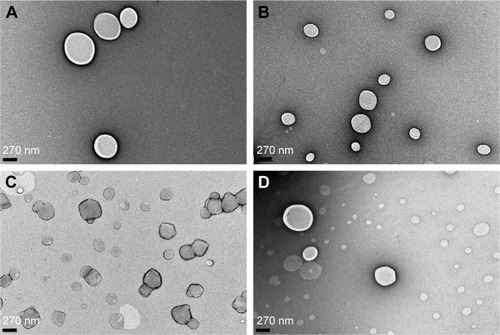 Figure 4 Transmission electron photomicrographs of (A) SLNs, (B) SLN-DAP, (C) M-SLNs, and (D) M-SLN-DAP (n=3).Abbreviations: M-SLN-DAP, dapsone-loaded mannosylated solid lipid nanoparticles; M-SLNs, mannosylated solid lipid nanoparticles; SLN-DAP, dapsone-loaded solid lipid nanoparticles; SLNs, solid lipid nanoparticles.