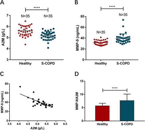 Figure 1 (A and B) Expression levels of A2M and MMP-9 in plasma between stable COPD patients and healthy group by ELISA were measurement. (C) Pearson’s correlation analysis was employed to reveal the relationship between A2M and MMP9. (D) MMP-9/A2M ratio in stable COPD patients compared with the control groups. Differences between the groups were assessed by two-sample independent Student’s t-test analysis. ****P < 0.0001.