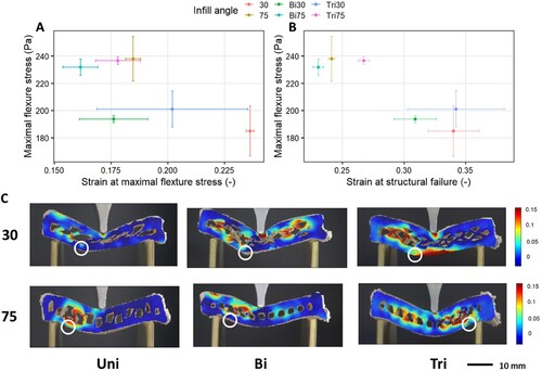 Figure 7. A: texture map (fracture strain vs fracture stress) of 3D-printed samples varied in infill angle orientations (Bi: binary alternation, Tri: ternary alternation). B: texture map (failure strain vs fracture stress) of 3D-printed samples varied in infill angle orientations. C: DIC strain maps of 3D-printed samples varied in infill angle orientations at failure point. The right circles indicate the failure positions on each sample.