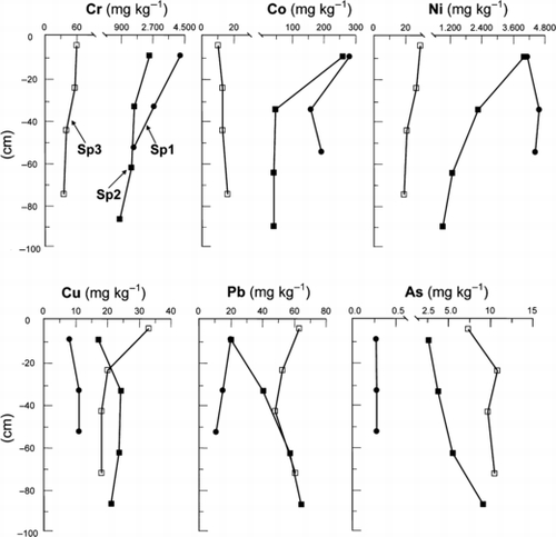 Figure 2 Vertical distribution of heavy metals (Cr, Co, Ni, Cu and Pb) and As in three soil profiles (Sp1–Sp3).
