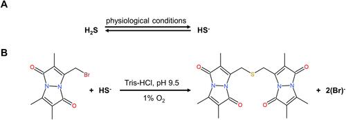 Figure 1 The mechanism of endogenous H2S detection.