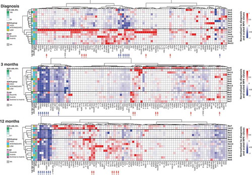 Figure 6. CML patients with high BCR-ABL IS% at diagnosis have distinct soluble plasma protein and receptor profile. Soluble plasma proteins were calculated as NPX values at diagnosis and after therapy start. All data were normalized to baseline median values, in order to visualize treatment-induced changes in each parameter. Heatmap analysis was performed including Euclidean distance and unsupervised hierarchical clustering methods for each timepoint independently, and annotations were added for Sokal risk at diagnosis, BCR-ABL IS% at each timepoint and study drug. At diagnosis, two clusters with different BCR-ABL IS% (median values 34.1 and 80.4) are observed with distinctive plasma protein profiles. After the therapy start, a group of soluble proteins and receptors clearly decreased after TKI start, namely CD5, CD6, CD244, OSM, IL-10RA, IL-4, and TGF-alpha (marked with blue arrows). On the contrary, CCL28, SCF, TWEAK, CX3CL1, IL-12B, and CCL25 (marked with red arrows) prominently increased after TKI start. Patients who started on bosutinib and switched to imatinib treatment during the 12-month follow up are marked with an asterisk.