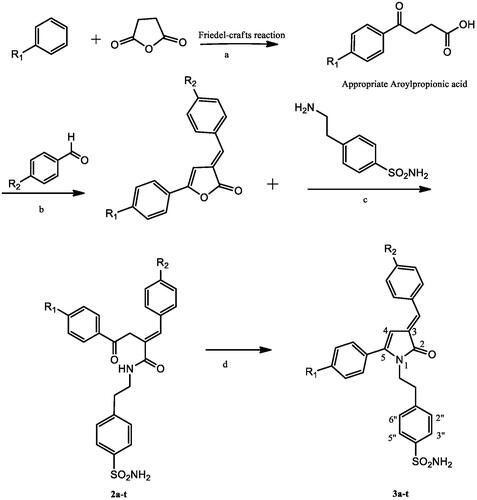 Scheme 1. Synthesis of pyrrolone substituted ethyl benzene sulphonamide derivatives (3a-t).Reagents and conditions (a) Anhydrous AlCl3, stirring at room temperature, 6h; (b) Acetic anhydride, Triethylamine, reflux, 4-5 h; (c) Dry benzene, Reflux, 4h; (d) 6M HCl, reflux, 2h).1a-3a, 1b-3b, 1c-3c, 1d-3d; R1=H,1e-3e, 1f-3f, 1g-3g, 1h-3h; R1= CH3, 1i-3i, 1j-3j, 1k-3k, 1l-3l; R1=C2H5, 1m-3m, 1n-3n, 1o-3o, 1p-3p; R1=Cl, 1q-3q, 1r-3r, 1s-3s, 1t-3t; R1=-C(CH3)3, 1a-3a, 1e-3e, 1i-3i, 1m-3m, 1q-3q; R2=H, 1b-3b, 1f-3f, 1j-3j, 1n-3n, 1r-3r; R2=F, 1c-3c, 1g-3g, 1k-3k, 1o-3o, 1s-3s; R2=Cl, 1d-3d, 1h-3h, 1l- 3l, 1p-3p, 1t-3t; R2=Br.