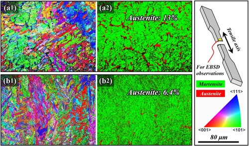 Figure 12. Orientation and phase maps for the MMCs reinforced with (a) WC and (b) TiC ceramic particles after tensile deformation at room temperature.