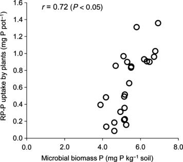 Figure 2 Relationship between uptake of P from rock phosphate (RP-P) by plants and soil microbial biomass P. The relationship was examined by means of the pot experiment.