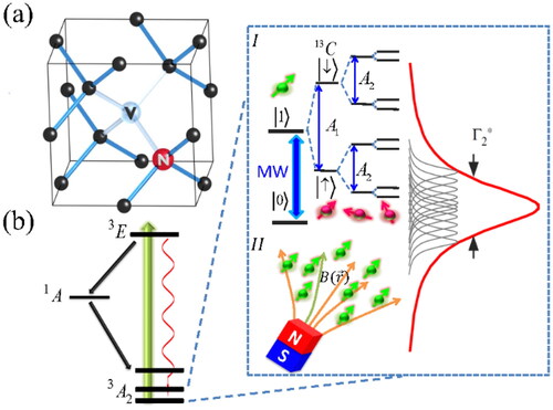 Figure 1. (a) Schematic physical structure of the NV center. (b) Energy levels and hyperfine structure of NV center interacting with nearby 13C nuclear spins. Hyperfine sublevels linked to the intrinsic 14N nuclear spins of the NV center and P1 centers are not shown. The right panel shows a typical ODMR signal of ms=0(|0〉) and ms=1(|1〉) electron spin sublevels with a 52 mT magnetic field along one of four axes of NV center ensemble.