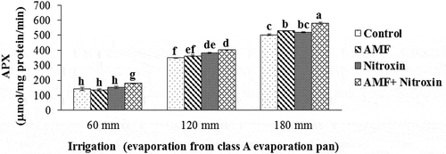 Figure 4. Interaction effect of irrigation and inoculation with bio-fertilizers on APX activity of sorghum. Values represent means ± SE. Different letters indicate significant differences using LSD test (P <.05)Figure 4