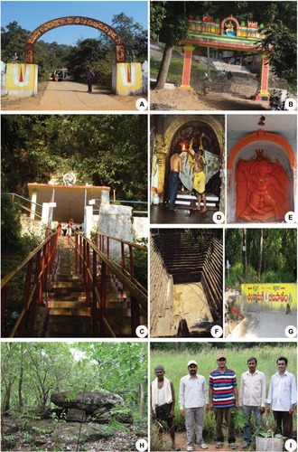 Figure 1 Archeological, prehistoric and natural sites on Mallur Gutta. (A) Medicinal Plants Conservation Area arch at entrance to the temple. (B) Temple arch. (C) Steps to temple. (D) Sanctum sanctorum. (E) Unique Hanuman statue, guarding the Mallur Gutta and the temple god. (F) Kolanu [tank], dried now. (G) Chintamani stream, now run through a pipe for drinking (arrow). (H) Prehistoric site. (I) Plant exploration team with one of the ethnic resource persons.