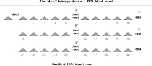 Figure 1 Flight procedure. After take off, prior to parabola zero, EEG recording, blood collection and assessment of mood state took place. EEG recording was repeated after parabolas 10, 20 and 30. Blood collection and mood assessment were repeated after parabolas 5, 15 and 25. Thirty minutes post-flight another data set of EEG, blood and mood data were collected. Each of the 31 parabolas is marked by two hyper-gravity phases (dark grey) and a zero-gravity phase (light grey).