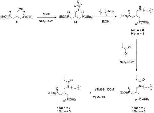 Scheme 5 Synthesis of the acidic monomers 16a and 16b.