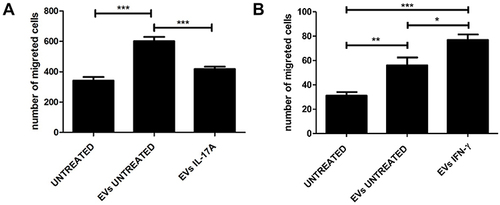 Figure 4 EVs isolated from rIL-17A or rIFNγ treated HaCaT cells can modulate HaCaT migration. (A) HaCat cells were treated with EVs isolated from HaCaT supernatant (EVs UNTREATED), with EVs derived from rIL-17A treated cells (EVs IL-17A) or left untreated (UNTREATED, used as control culture) as described in Materials and Methods. (B) HaCat cells were treated with EVs isolated from HaCaT supernatant (EVs UNTREATED), with EVs derived from rIFN-γ treated cells (EVs IFN-γ) or left untreated (UNTREATED). Data are presented as the mean ± SD of three independent experiments performed in triplicate. ***P ≤ 0.001; **P ≤ 0.01; *P ≤ 0.05.