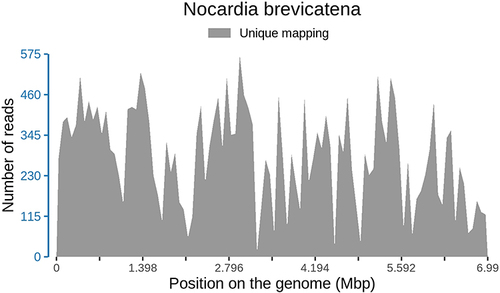 Figure 3 The distribution of mapping read number on the genome of N. brevicatena.