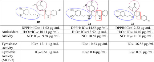 Figure 2 Structure–activity relationship and comparison of highly active compounds.