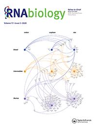 Cover image for RNA Biology, Volume 17, Issue 2, 2020