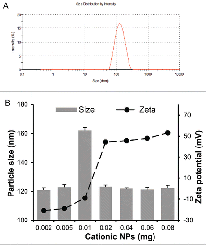 Figure 1. (A) Representative dynamic light scattering spectrum of typical PLGA nanoparticles. (B) The size and zeta potential of pVax/Opt-BoNT/C-Hc50-coated cationic PLGA nanoparticles at various nanoparticles to plasmid ratios. Increasing amounts of cationic nanoparticles (0.002–0.08 mg) were mixed with a fixed amount of DNA (1 µg) in equal volumes and allowed to incubate at room temperature for at least 30 min before measuring size and zeta potential. All data reported are mean ± SEM (n = 3).