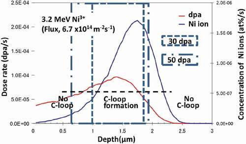 Figure 20. Influence of the dose (30 and 50 dpa) on the region where the c-component dislocation loops formed.