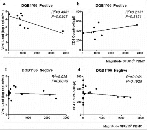 Figure 7. DQB1*06 allele-specific enzyme-linked immunospot (ELISPOT) magnitude were compared with viral load (VL) and CD4+ T cell count. P value is corrected by FDR.