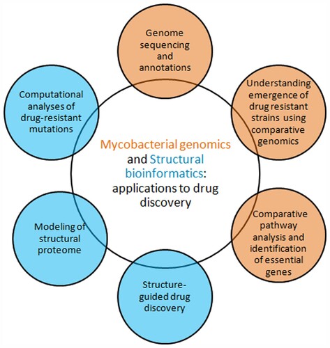 Figure 1. From mycobacterial genomes to drug discovery. Post-genomic application areas in mycobacterial drug discovery such as comparative genomics and structural biology/bioinformatics are shown.