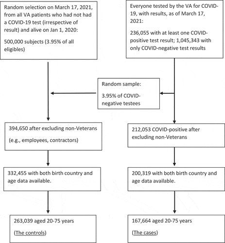 Figure 1. Selection process for VA COVID-19 cases and controls.