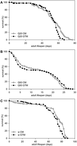 Figure 3 Green Tea Infusion increases the Lifespan of mutant Huntingtin expressing Drosophila. The two graphs on top show percent survival as function of days of adult Drosophila females expressing A. Httex1p-Q20 (control) or B. Httex1p-Q93 transgenes (combined results of experiments performed at two different times are shown) in the nervous system kept on either CM or GTM. Median lifespan of Httex1p-Q93 expressing flies is significantly reduced compared to that of Httex1p-Q20 controls (P=1.8×10−54, Mann–Whitney U test). On GTM medium Httex1p-Q93 expressing flies reach 75 and 90% mortality rates significantly later than on CM (P=0.0218 and P=0.0003, respectively; Mann–Whitney U test). C. Wild-type fruit flies have a significantly (P=1.1×10−7, Two Stage Hazard Rate Comparison) shorter lifespan on GTM than on CM. The graph shows percent survival as function of days of isogenic w1118 fruit flies kept at 25°C.