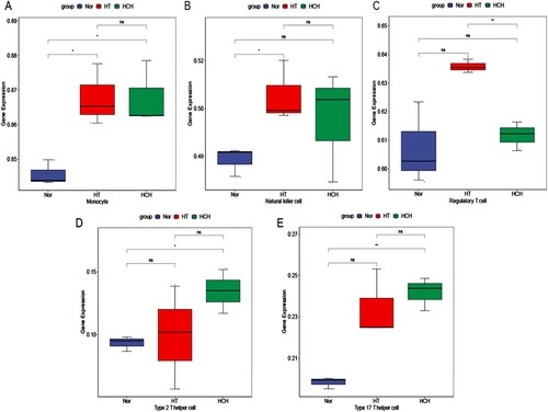 Figure 4. Immune cell types that differed significantly among HT, HCH control groups: (A) Monocyte, (B) Natural killer cell, (C) Regulatory T cell, (D) Type 2 T helper cell, (E) Type 17 T helper cell. * indicates p < 0.05, ** indicates p < 0.01, ns indicates not significant.