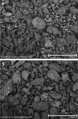 Figs 4 & 5. SEM of Eucheuma cottonii particles (4) raw seaweed (5) solid waste.