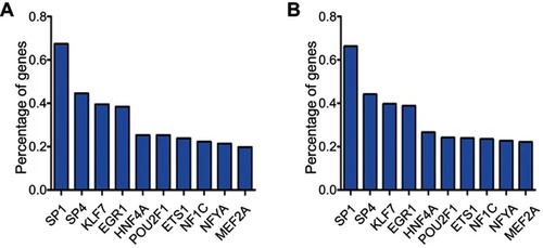 Figure 6 Analysis of transcription factors. The top 10 most enriched transcription factors for the target genes of (A) up-expressed and (B) down-expressed exosomal miRNAs are presented