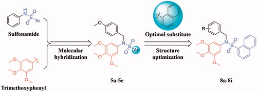 Figure 2. The design strategy of the target compounds in this study.