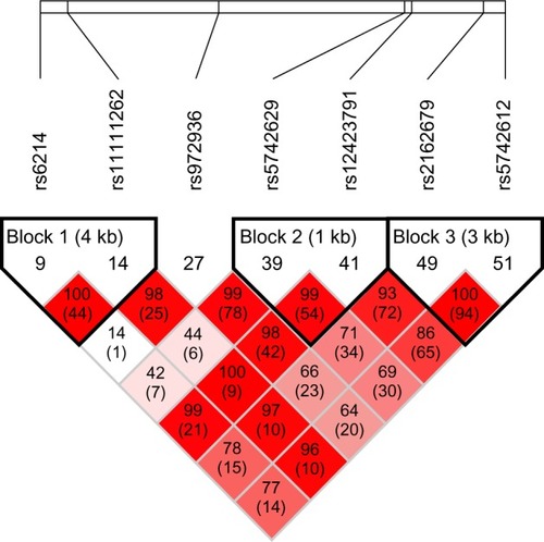 Figure 1 Linkage disequilibrium plot of seven SNPs in IGF1.