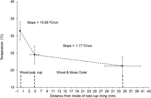 Figure 2. Mean (±SD) values for temperature at different positions within the wall of Song Thrush nests. Slopes indicate the rate of change in temperature per cm of the respective wall structural components, i.e. the inner wood pulp cup and the outer nest wall. Position of the points on the x-axis indicates the mean (±SD) values for the thickness of the two different parts of the nest wall for the sample of 21 nests.