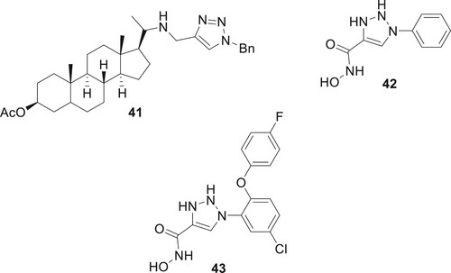 Figure 10. Representative examples of 1,2,3-triazoles used to treat Neglected Tropical Diseases.