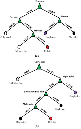 Figure 5. Decision Tree Analysis (DTA) showing the selected metabolites responsible for separation among different types of colored rice. (a): Sugar components; (b): Non-sugar components.Figura 5. Análisis del árbol de decisiones (DTA), que indica los metabolitos seleccionados responsables de la separación entre los distintos tipos de arroz pigmentado. (a): Componentes de azúcar; (b): Componentes no azúcar.