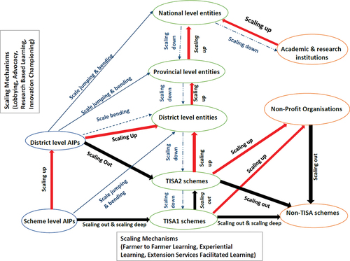 Figure 3. Example of the scaling of agricultural innovation process in Zimbabwe.