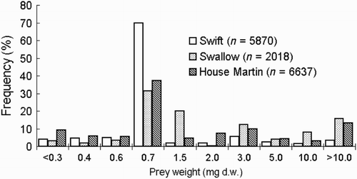 Figure 2. Comparison of the frequency distribution of insect prey weight taken by three species of aerial feeding birds breeding at the same location in southwestern Poland based on known weight of all identified prey, see Electronic Appendix 1.